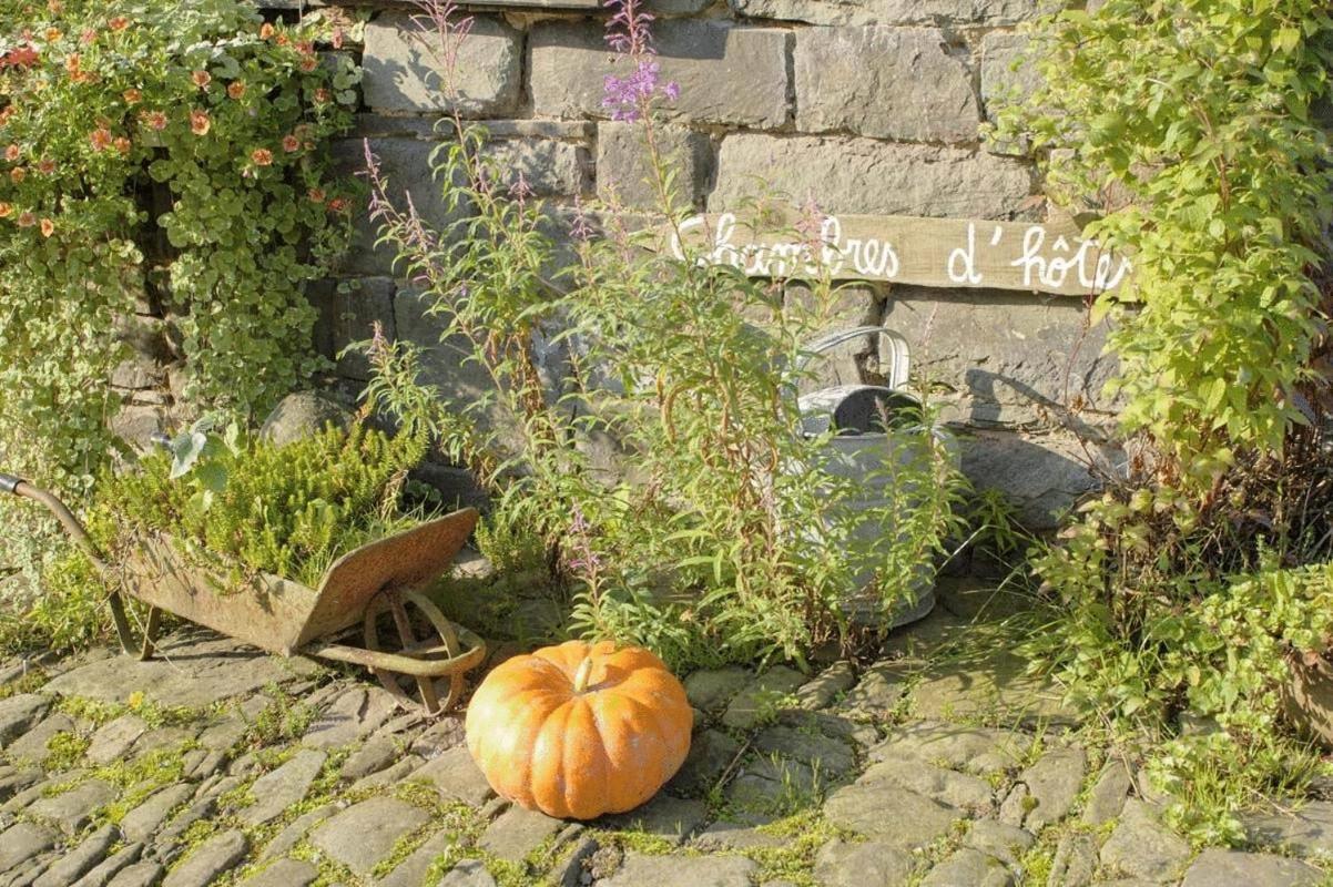 B&B Le Clos De La Fontaine Chéoux エクステリア 写真