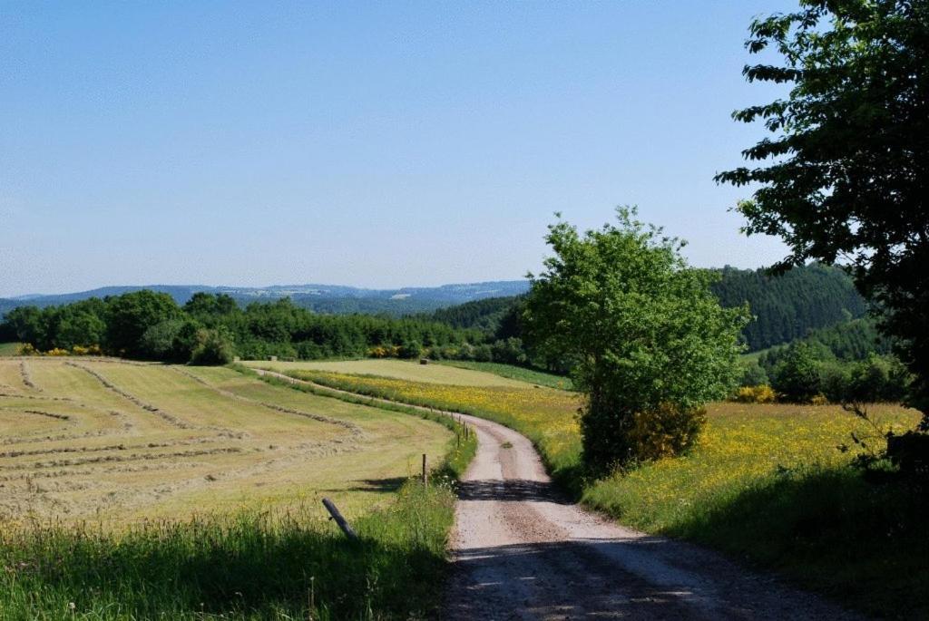 B&B Le Clos De La Fontaine Chéoux エクステリア 写真